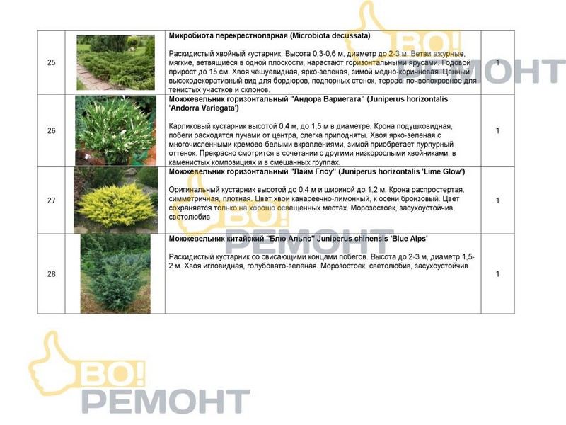 Проект благоустройства территории-102